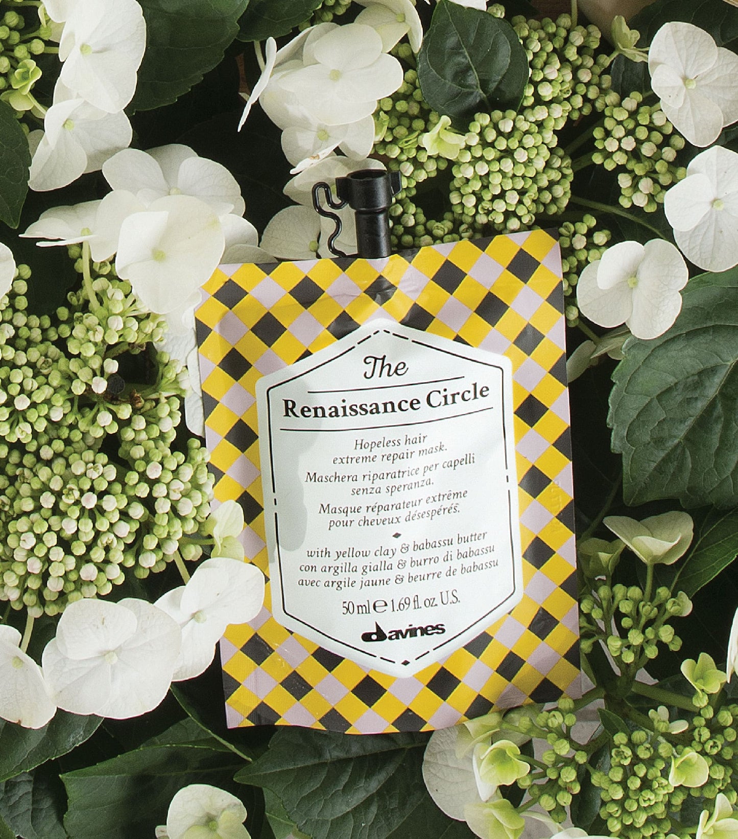 The Renaissance Circle 50 ml